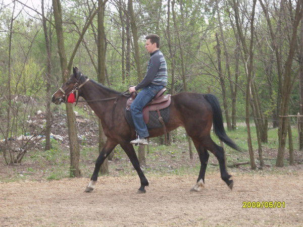 Алексей Пикущий