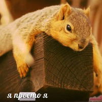 Максим Белевич