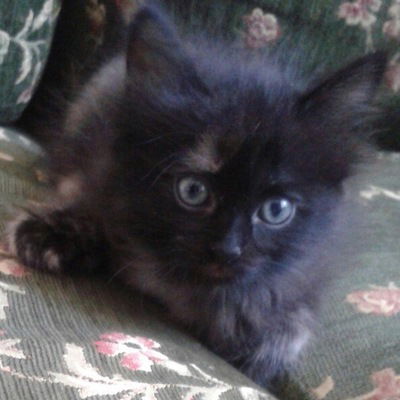 Артём Нуриев