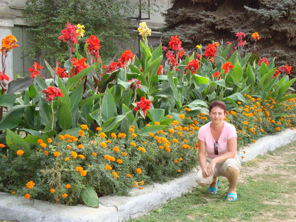 Неизвестно Неизвестно