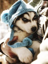 Анна Кокунова