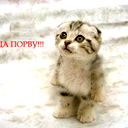 Александр Колганов