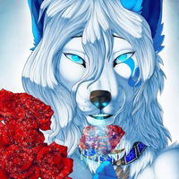 Алеся Волкова