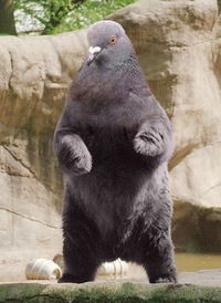 Николай Денисов