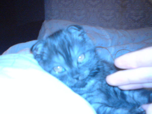 Lisa Потапенко