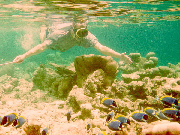 Алексей Лаккадивский