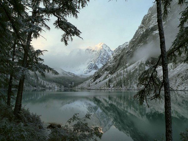 Елена Дьякова