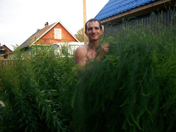 Владимир Вавилин