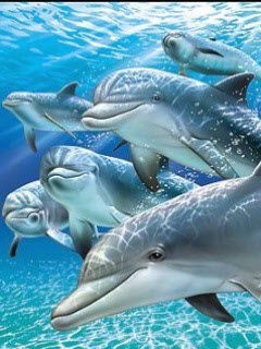 Емерих Федак