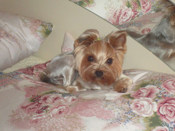 ????????????? ??????????????