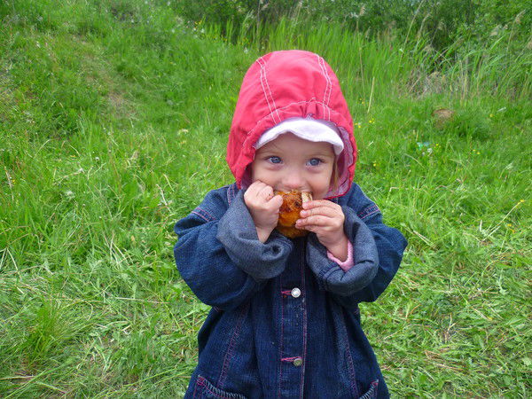 Вячеслав Музыкантов