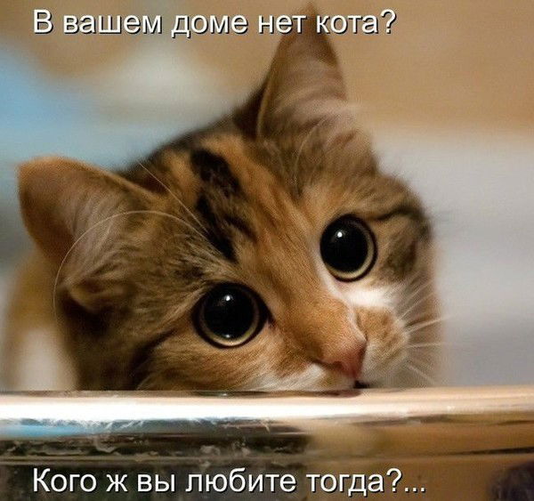 Яхонт Яхонт