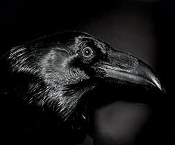 Павел Добрынин