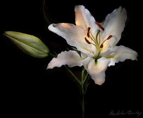 Лилия Ахметова