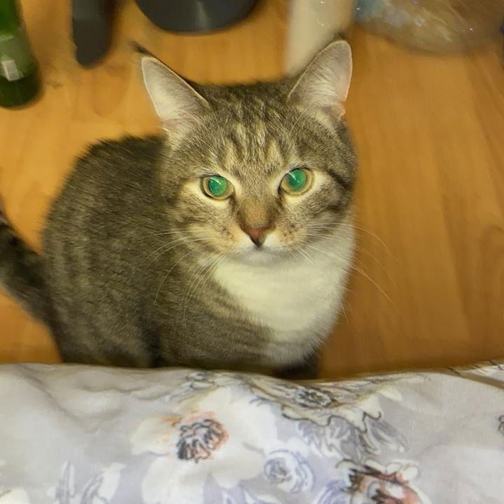 Тимур Мукаев