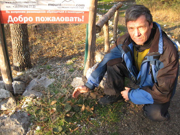 Игорь Солодовников