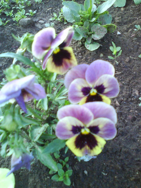 Наталья Сафина