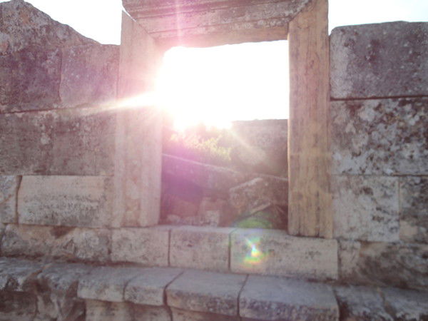 Ольга Василева