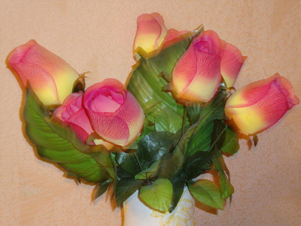 Эльвира Закиева