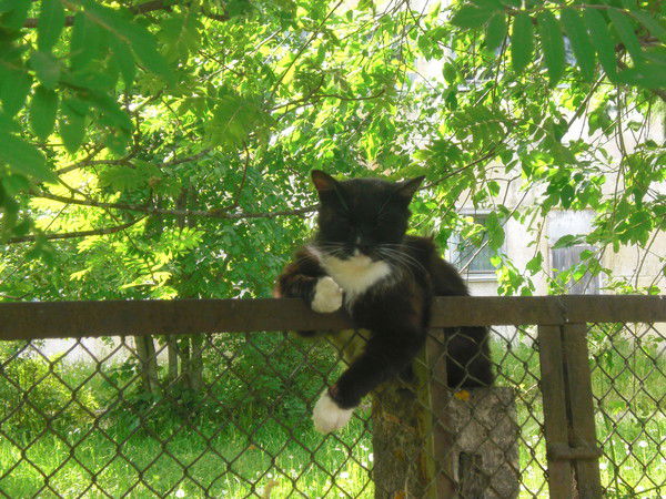 Татьяна Алексеева