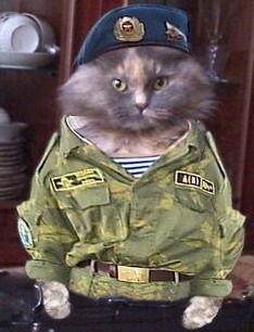 Натан Рыбак