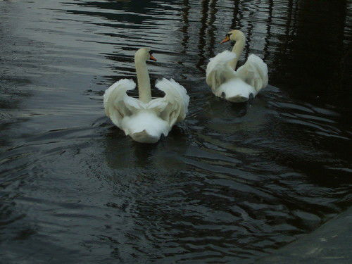 Надежда Бутовка