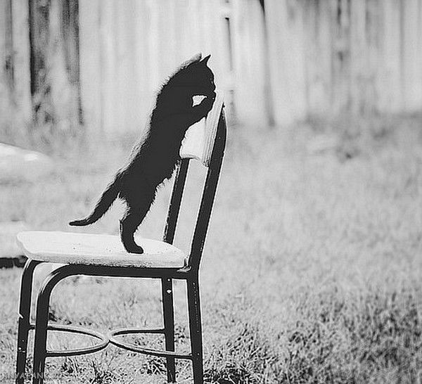 Марго Елькина