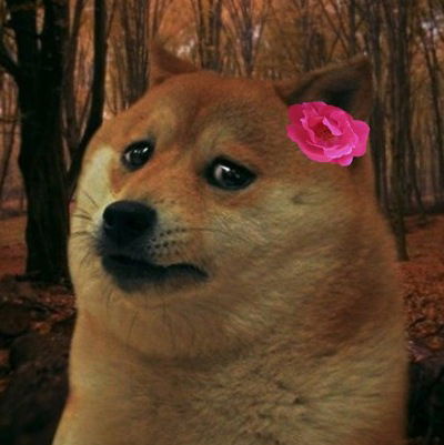 Рома Петросян