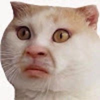 Андрей Миллер