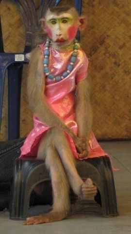 Машенька Маша