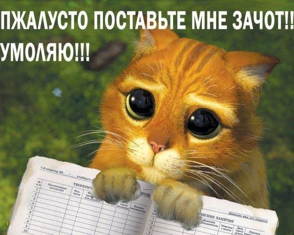 Курсовые Дипломы