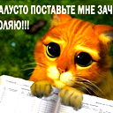 Курсовые Дипломы
