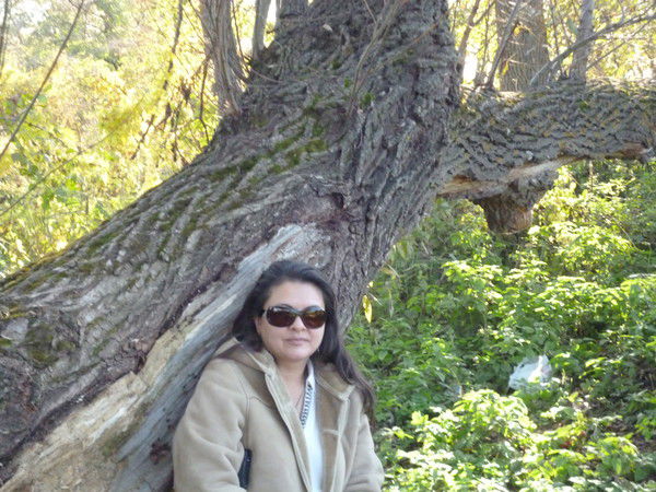 Елена Фаюстова