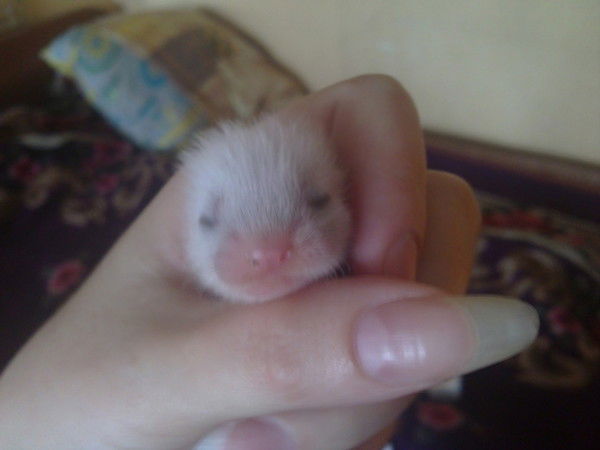 Ольга Потапенко