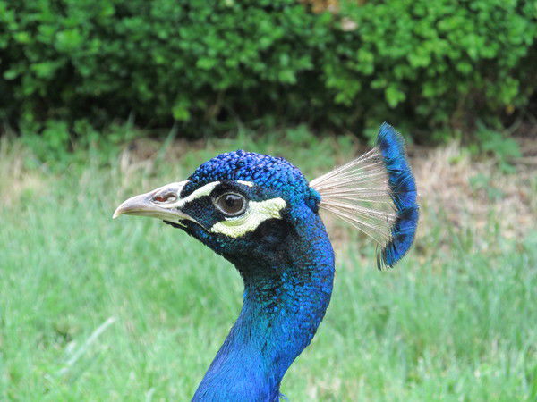 Махмутзянова Лидия