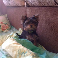 Кирилл Таранов