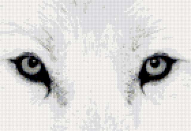 Епишин Андрей