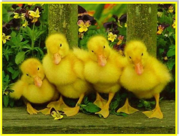 Искорка Детский Сад