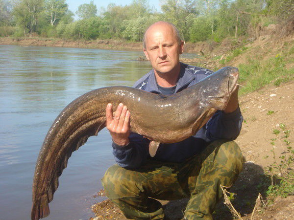 Сергей Амеленков