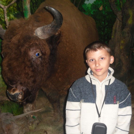 Владислав Хоржевский