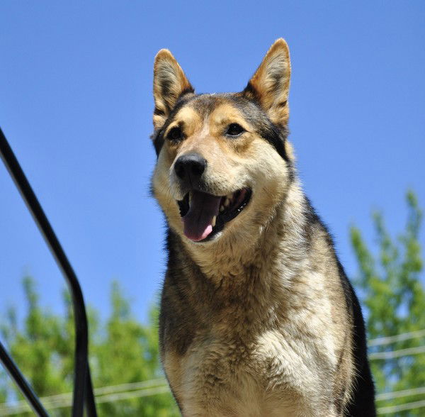 Вадим Ивлев