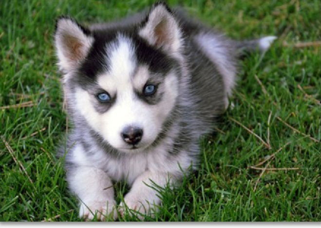 Маруся Храмцова