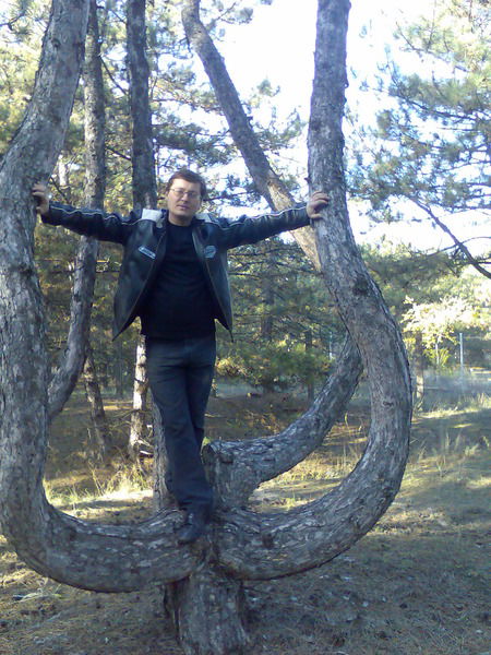 Андрей Гришин