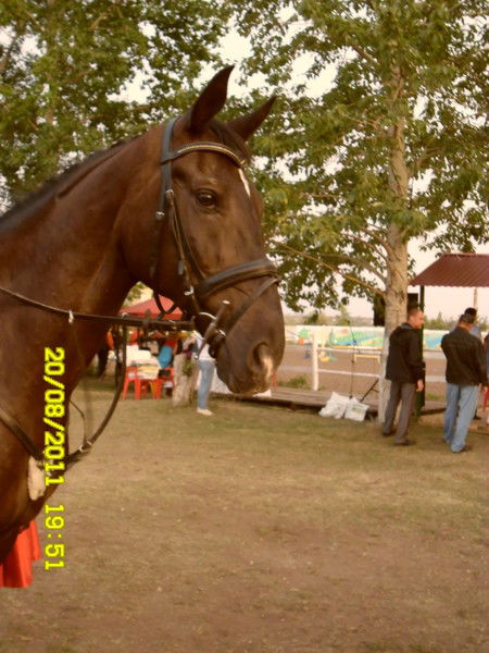 Светлана Хитёва