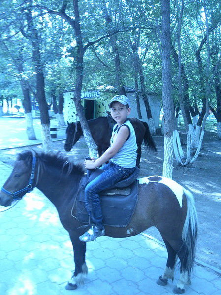 Дмитрий Соколов