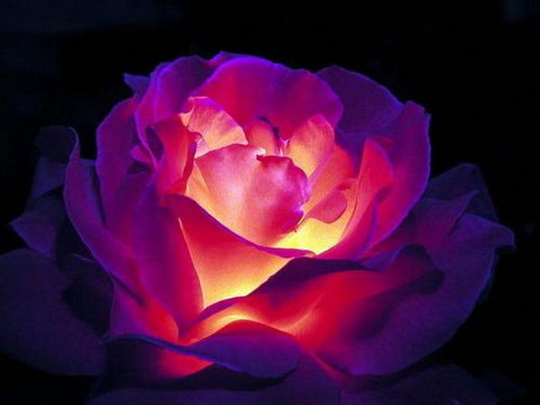 Юлия Яковлева