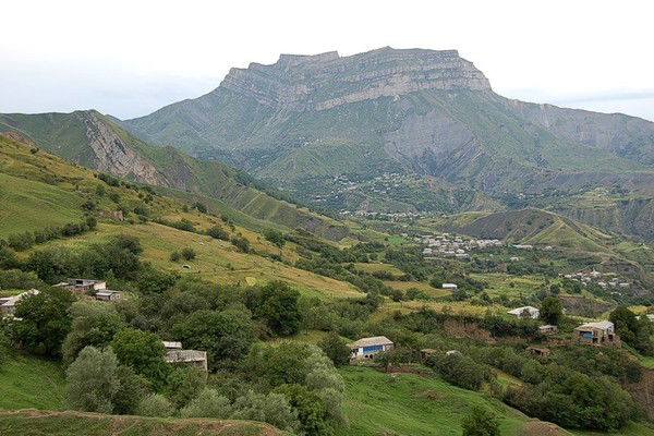 Патимат Магомедова