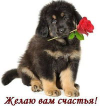 Полина Ильчук