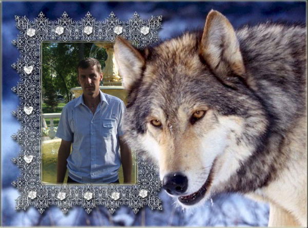 Саша Гольцман