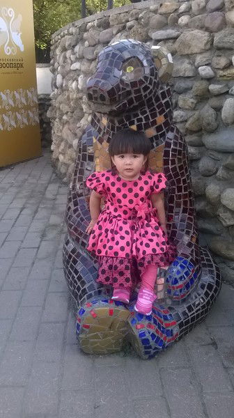 Amir Давлатов